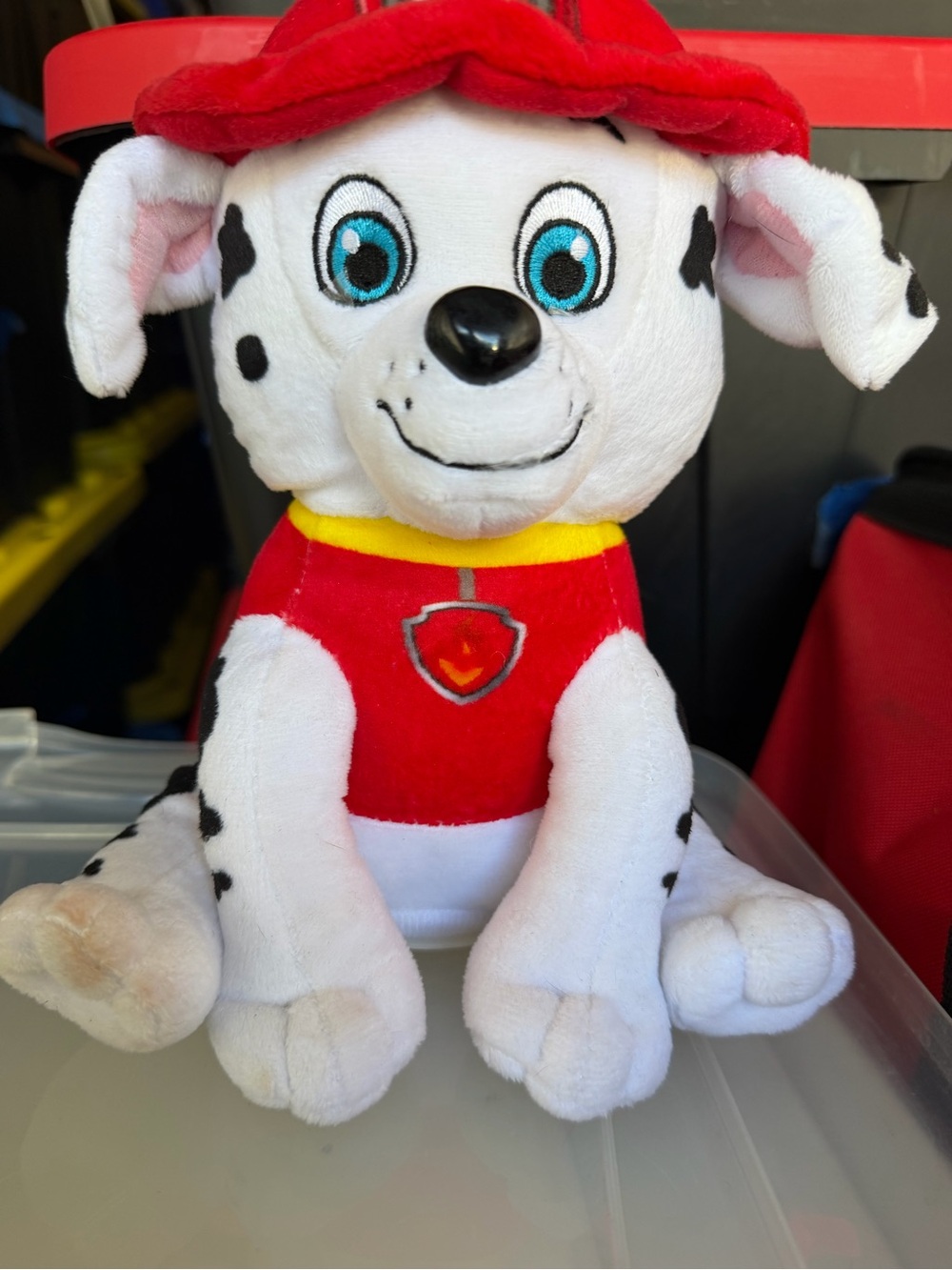 Paw Patrol Marshall Kids Piggy Bank
